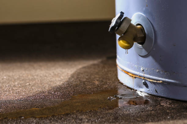 Best Flooded house restoration  in Andrews, IN