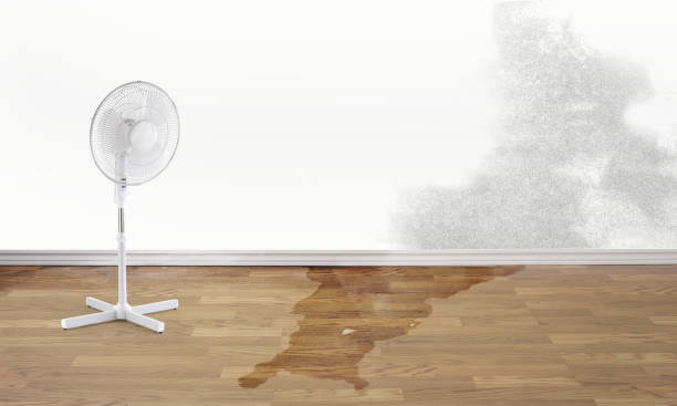 Best Fire Damage Restoration  in Andrews, IN