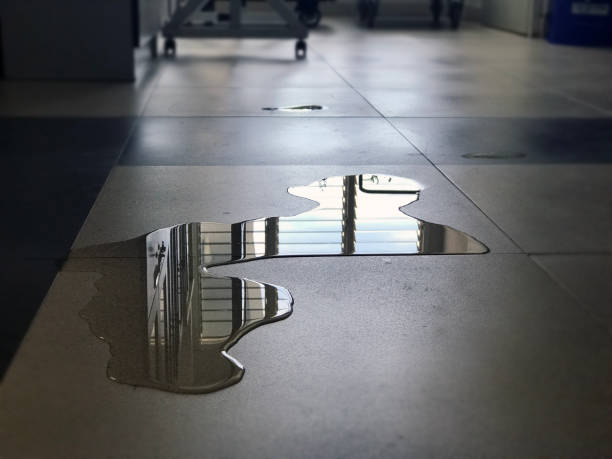 Best Water damage cleanup near me  in Andrews, IN