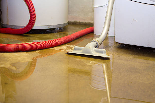 Best Water damage restoration near me  in Andrews, IN