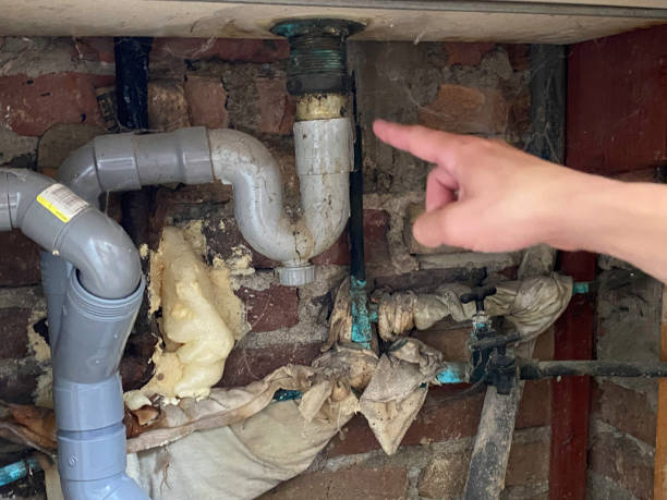 Best Water damage contractors near me  in Andrews, IN